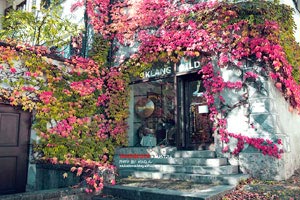 如何清除高德地图搜索记录功能,高德地图清空的搜索记录能找回来吗