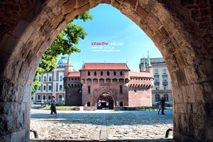 如何清除高德地图搜索记录功能,高德地图清空的搜索记录能找回来吗