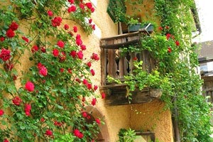 如何清除高德地图搜索记录功能,高德地图清空的搜索记录能找回来吗