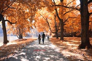 如何清除高德地图搜索记录功能,高德地图清空的搜索记录能找回来吗